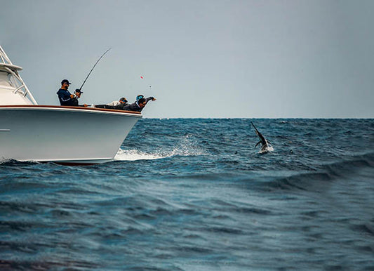 2022 Operation Sailfish: Leg One of Quest For The Crest Sailfish Series