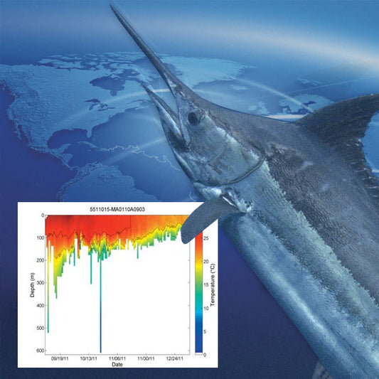 IGFA Great Marlin Race